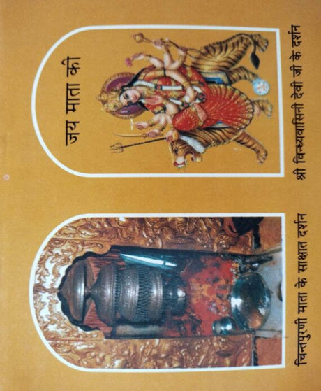 Chintpurni Chalisa / चिंतपूरनी चालीसा - Retail Maharaj