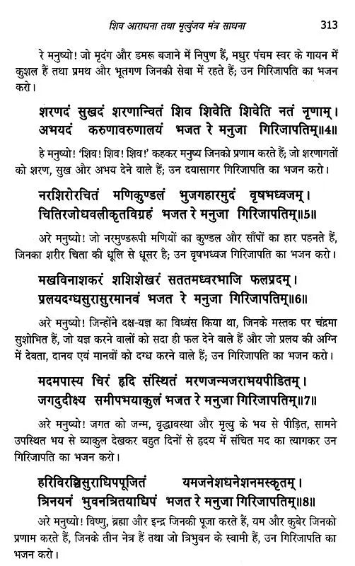 मृत्युंजय मंत्र संकलन: Collection of Mrityunjaya Mantras - Retail Maharaj