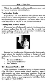Comprehensive Feng Shui (Set of 2 Volumes) - Retail Maharaj