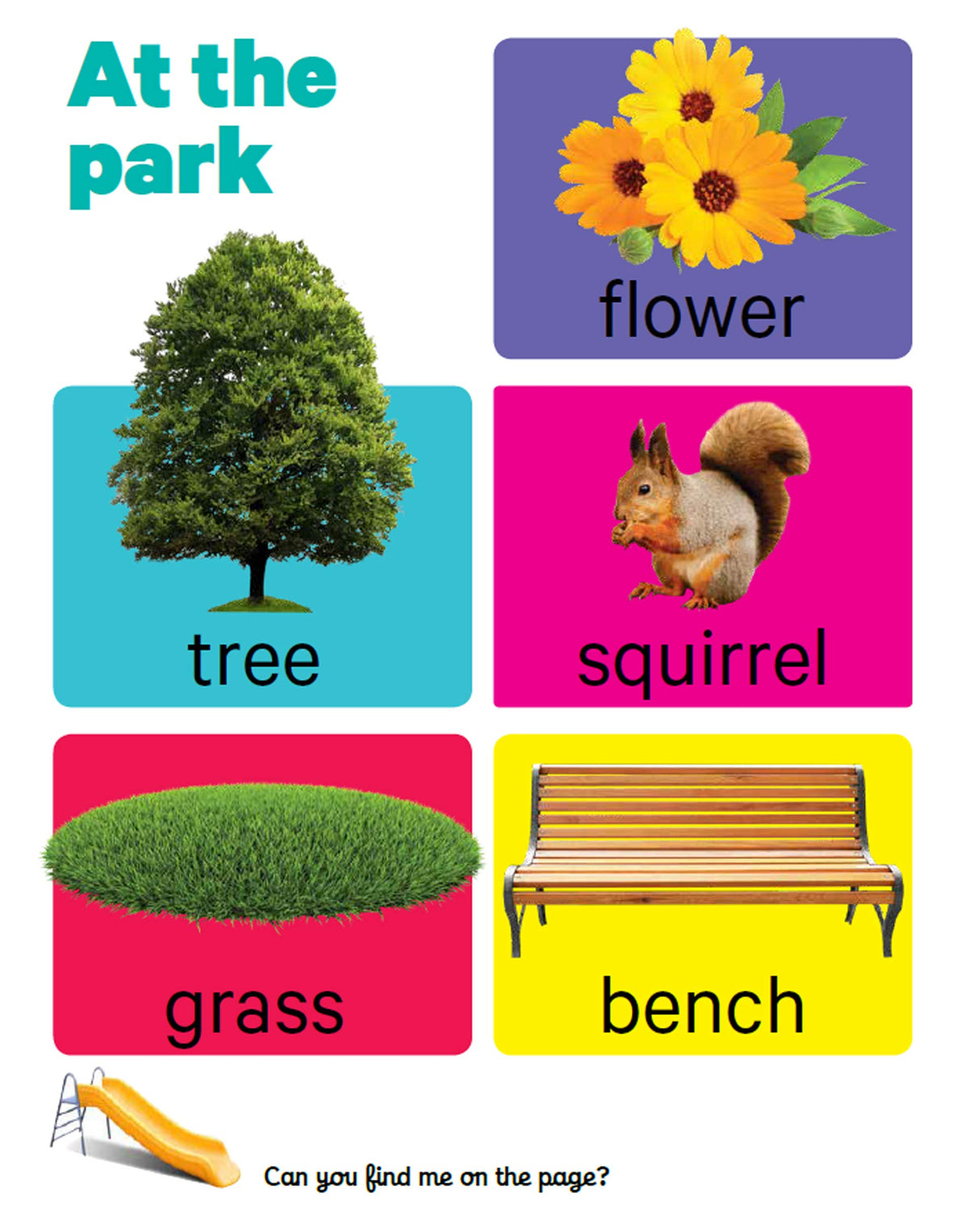 Early Learning First Words - Board Book - Retail Maharaj