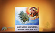 Gayatri Mantra - Retail Maharaj
