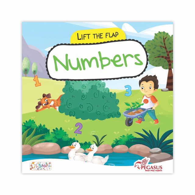 Lift The Flap Board Book – Numbers - Retail Maharaj