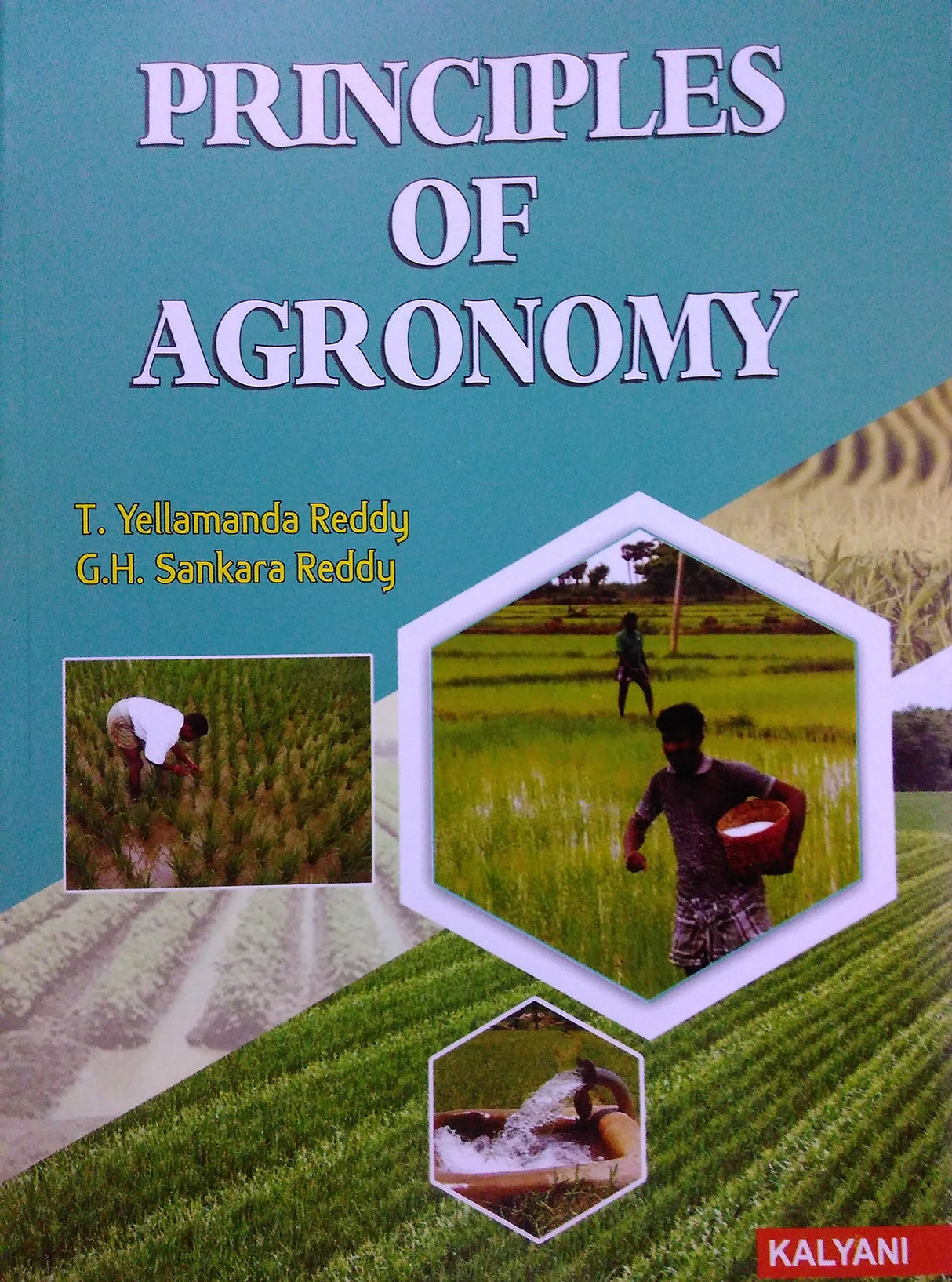 Principles Of Agronomy - Retail Maharaj