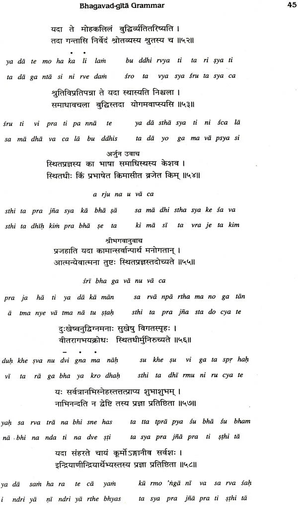 Sanskrit Bhagavad Gita Grammar (Set of 3 Volumes) - Retail Maharaj