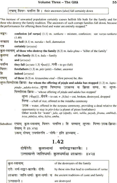 Sanskrit Bhagavad Gita Grammar (Set of 3 Volumes) - Retail Maharaj