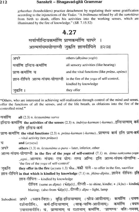 Sanskrit Bhagavad Gita Grammar (Set of 3 Volumes) - Retail Maharaj