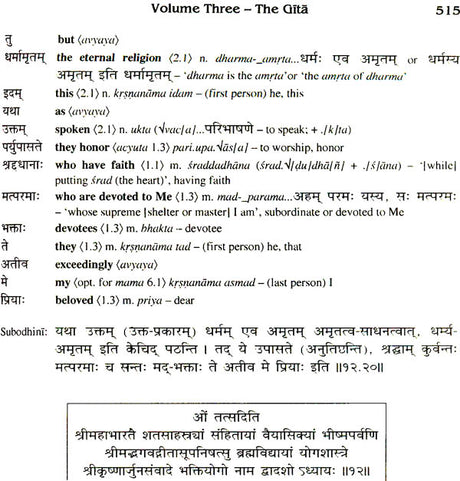 Sanskrit Bhagavad Gita Grammar (Set of 3 Volumes) - Retail Maharaj