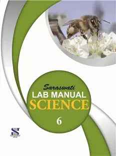 SARASWATI LAB MANUAL SCIENCE - 6 - Retail Maharaj