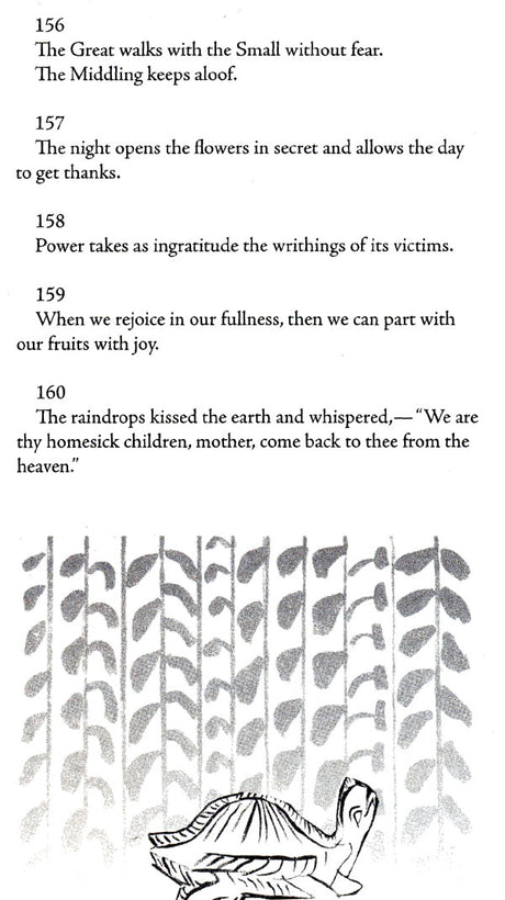 Stray Birds Fireflies and Other Poems - Retail Maharaj