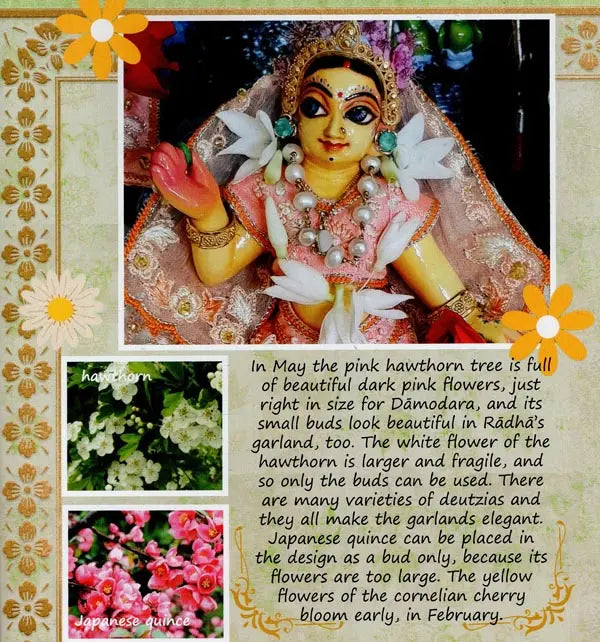 The Flower Garden of Radha-Damodara - Retail Maharaj
