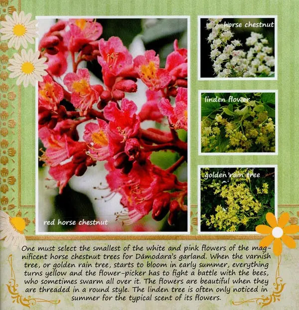 The Flower Garden of Radha-Damodara - Retail Maharaj
