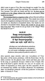The Rasa Dance from Srimad Bhagavatam with Many Commentaries - Retail Maharaj