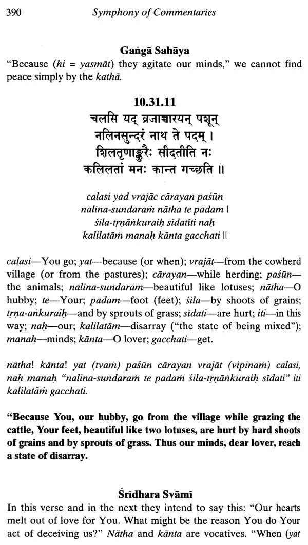 The Rasa Dance from Srimad Bhagavatam with Many Commentaries - Retail Maharaj