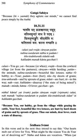 The Rasa Dance from Srimad Bhagavatam with Many Commentaries - Retail Maharaj