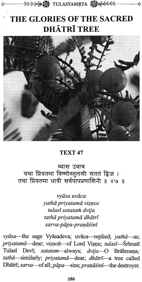 Tulasyamrta (The Nectar of Srimati Tulasi Devi) - Retail Maharaj