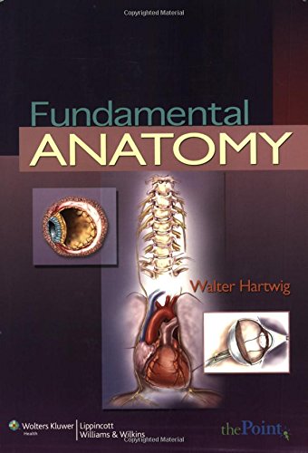 Fundamental Anatomy - Retail Maharaj