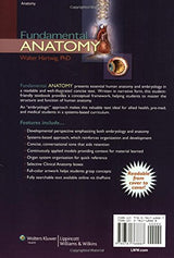 Fundamental Anatomy - Retail Maharaj