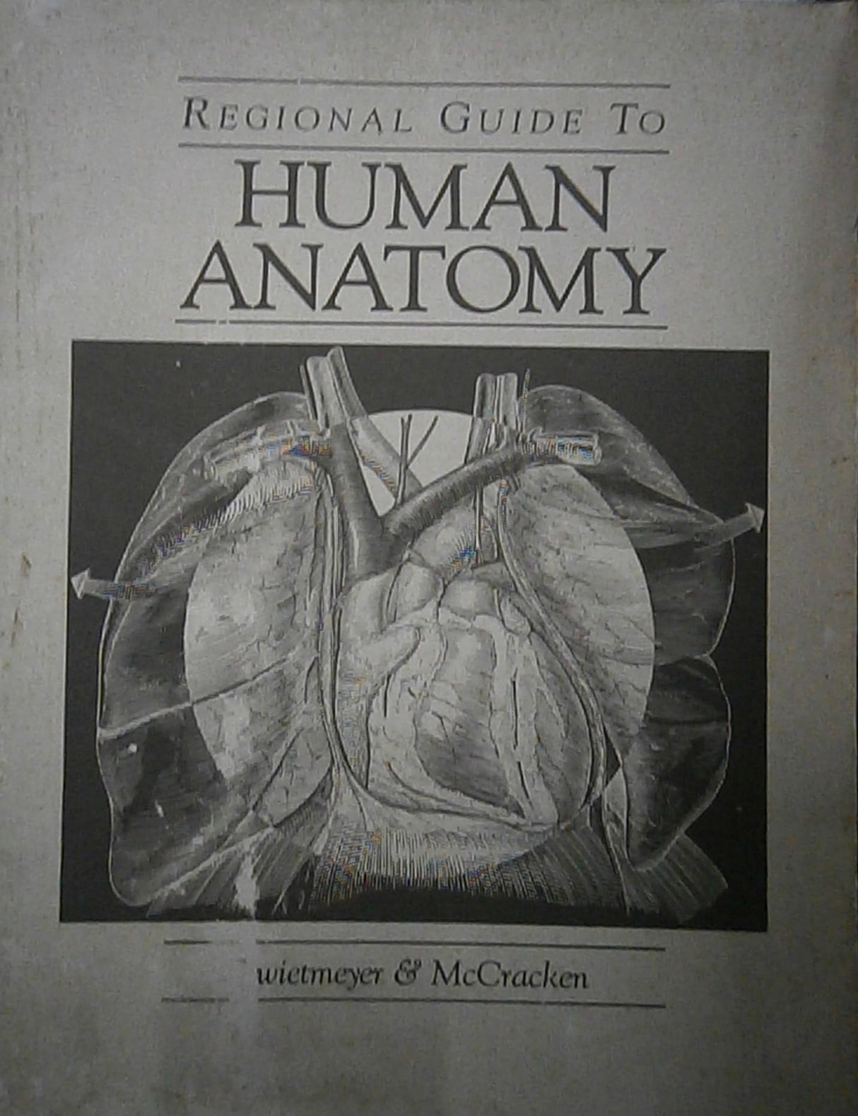Regional Guide to Human Anatomy - Retail Maharaj