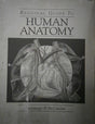 Regional Guide to Human Anatomy - Retail Maharaj
