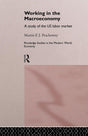 Working in the Macro Economy: A study of the US Labor Market (Routledge Studies in the Modern World Economy) - Retail Maharaj