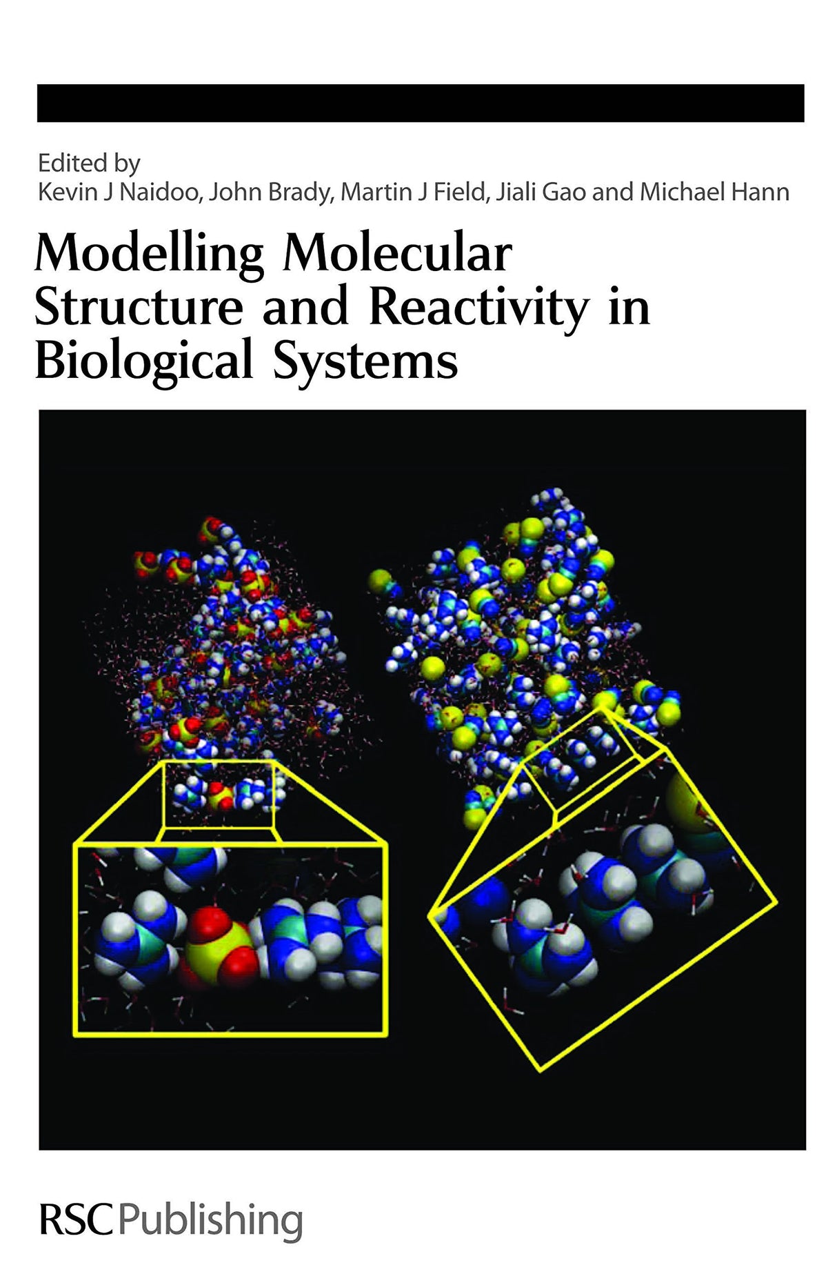 Modelling Molecular Structure and Reactivity in Biological Systems: 304 (Special Publications) - Retail Maharaj