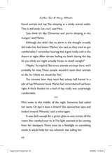 Magic Mirror Mysteries: The Traveller’s Tale - Retail Maharaj
