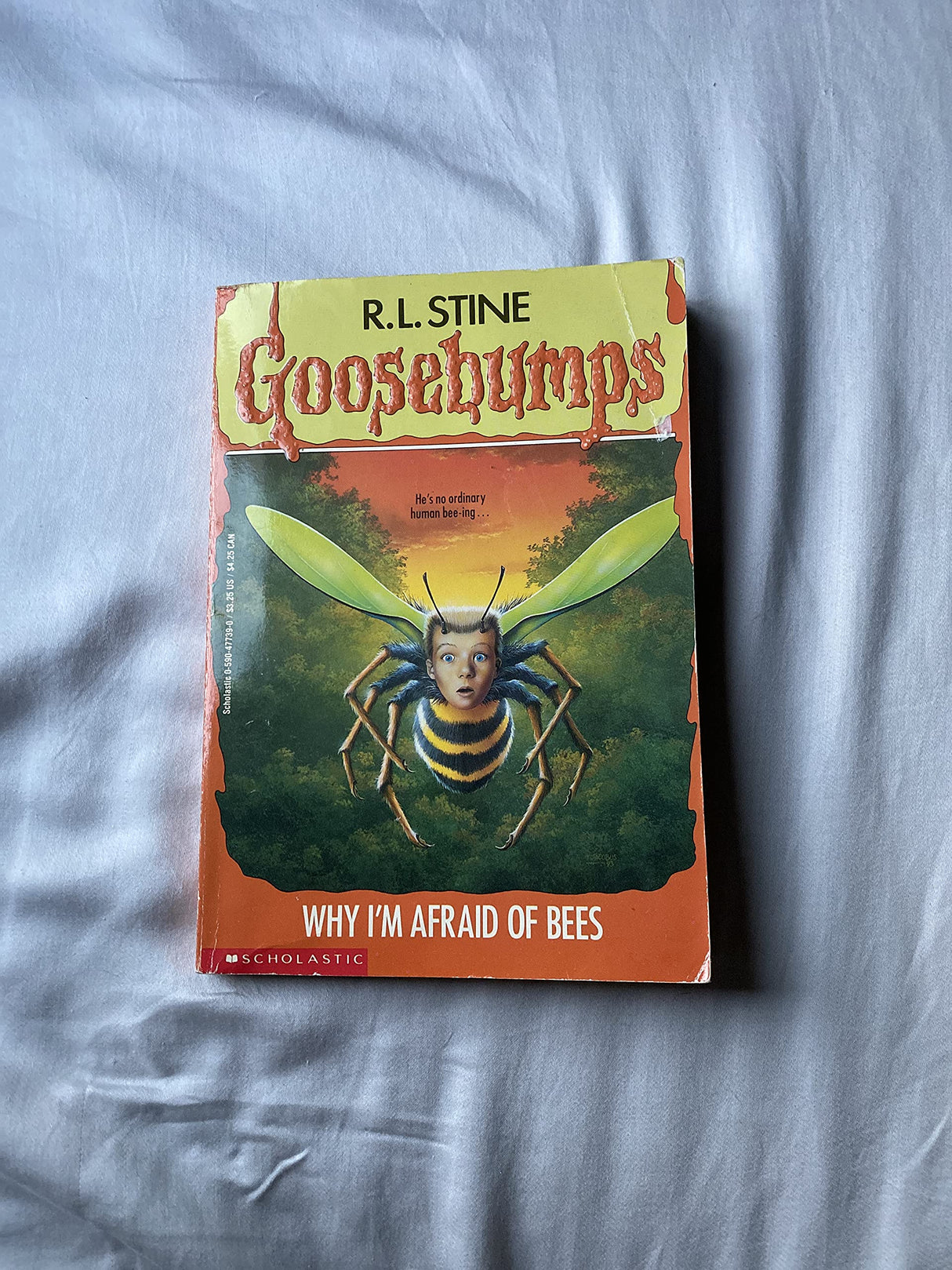 GB #17 WHY I M AFRAID OF BEES - Retail Maharaj