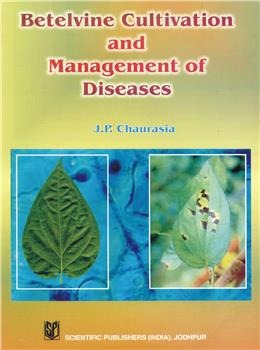 Betelvine Cultivation & Management of Diseases - Retail Maharaj