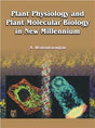 Plant Physiology and Plant Molecular Biology in New Millennium - Retail Maharaj