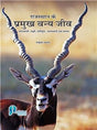 Rajasthan Ke Pramukh Vanyajeev - Retail Maharaj