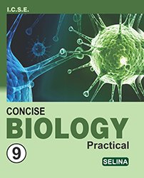 Concise Biology Practical (Class IX) - Retail Maharaj