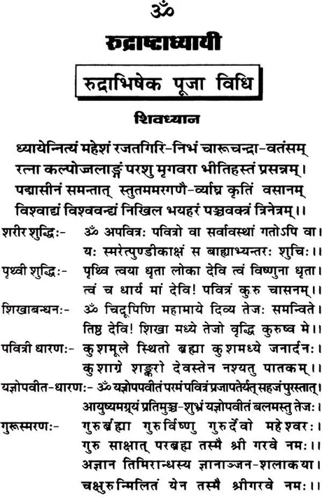 Saral Rudrashtadhyayi (Bhasha-Teeka) [Hindi] - Retail Maharaj
