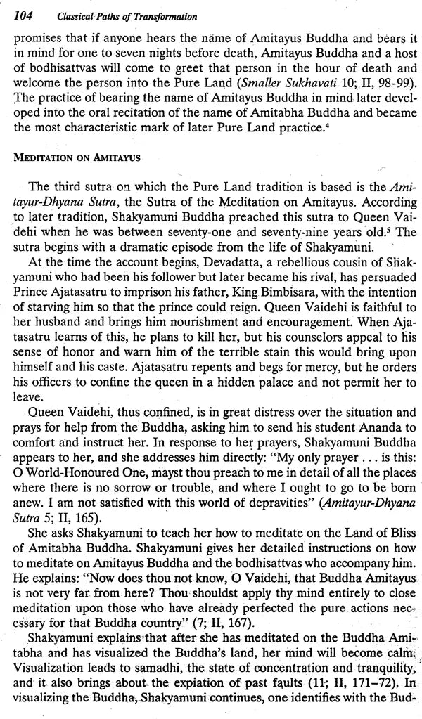 The Buddha and the Christ : Explorations in Buddhist and Christian Dialogue / Leo D. Lefebure - Retail Maharaj