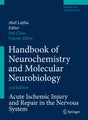 Handbook of Neurochemistry and Molecular Neurobiology: Acute Ischemic Injury and Repair in the Nervous System - Retail Maharaj