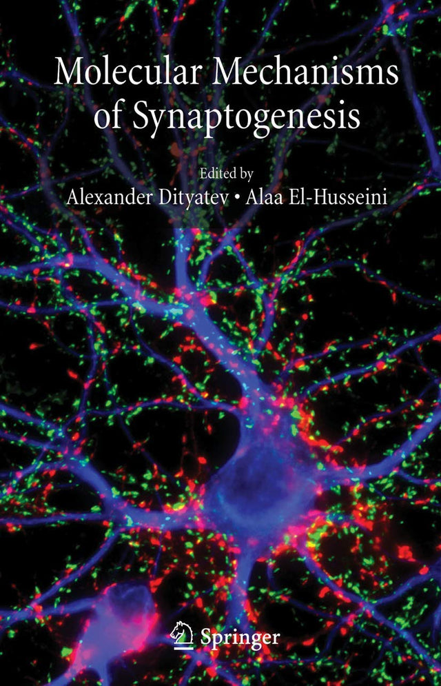 Molecular Mechanisms of Synaptogenesis - Retail Maharaj