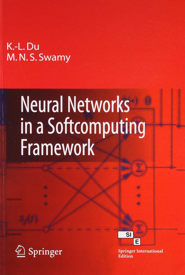 Neural Networks in a Softcomputing Framework - Retail Maharaj