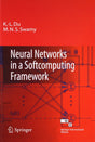 Neural Networks in a Softcomputing Framework - Retail Maharaj
