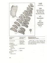 Materia Medica of Tibetan Medicine - Retail Maharaj