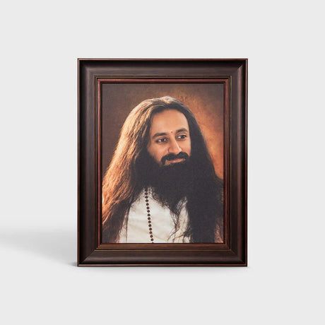 Photo Frame 24 x 30 inch (Sparkle) A - Premium Frame | Gurudev Sri Sri Ravi Shankar - Retail Maharaj