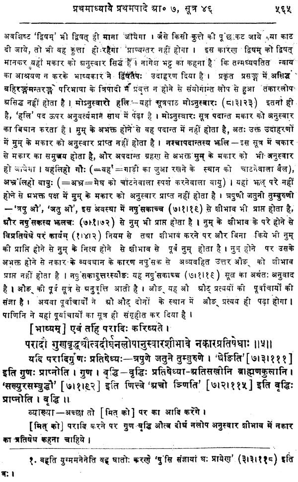 Mahabhashya With Explanation In Hindi (Vol-1: Part-2) - Retail Maharaj