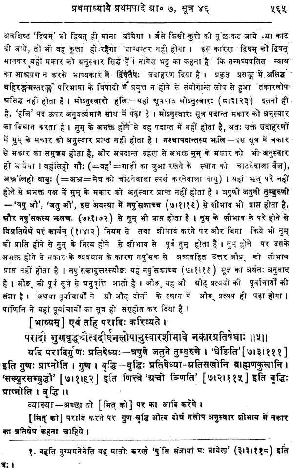 Mahabhashya With Explanation In Hindi (Vol-1: Part-2) - Retail Maharaj