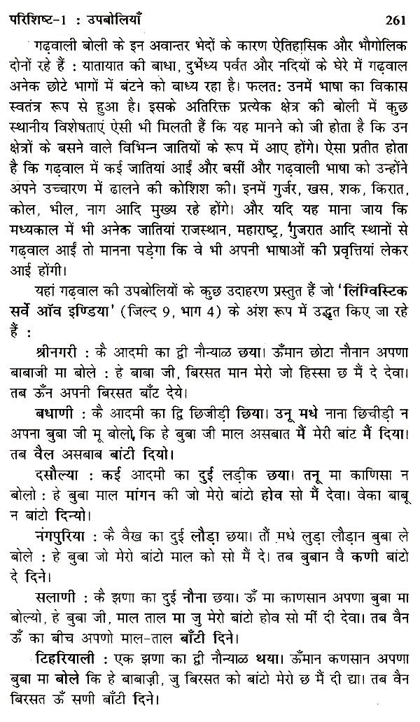 मध्य हिमालयी भाषा- सामर्थ्य और संवेदना- Central Himalayan Languages - Ability and Sensibility - Retail Maharaj