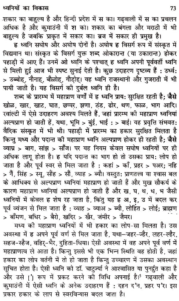 मध्य हिमालयी भाषा- सामर्थ्य और संवेदना- Central Himalayan Languages - Ability and Sensibility - Retail Maharaj