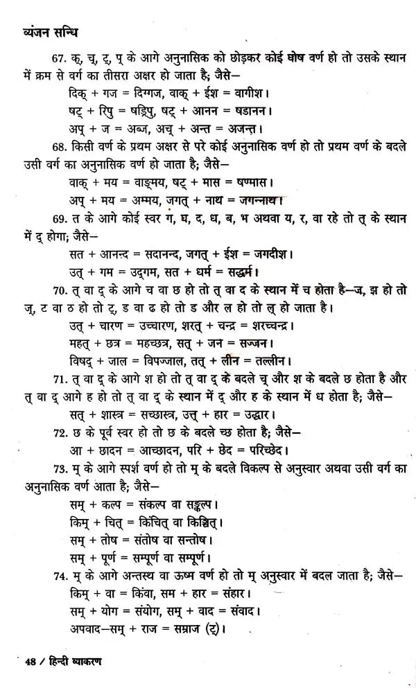हिन्दी व्याकरण: Hindi Grammar (Second Edition) - Retail Maharaj
