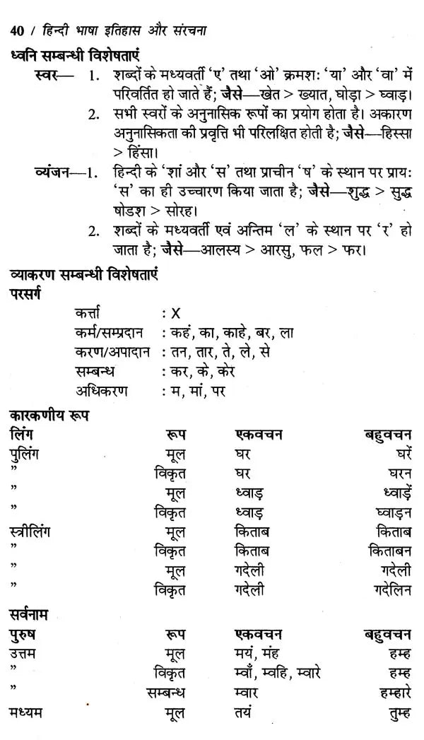 हिन्दी भाषा- इतिहास और संरचना: Hindi Language- History and Structure - Retail Maharaj