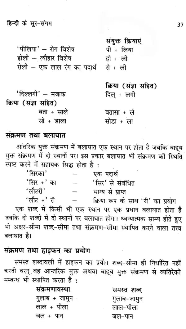 व्यावहारिक हिन्दी प्रक्रिया और स्वरूप: Practical Hindi Process And Format - Retail Maharaj