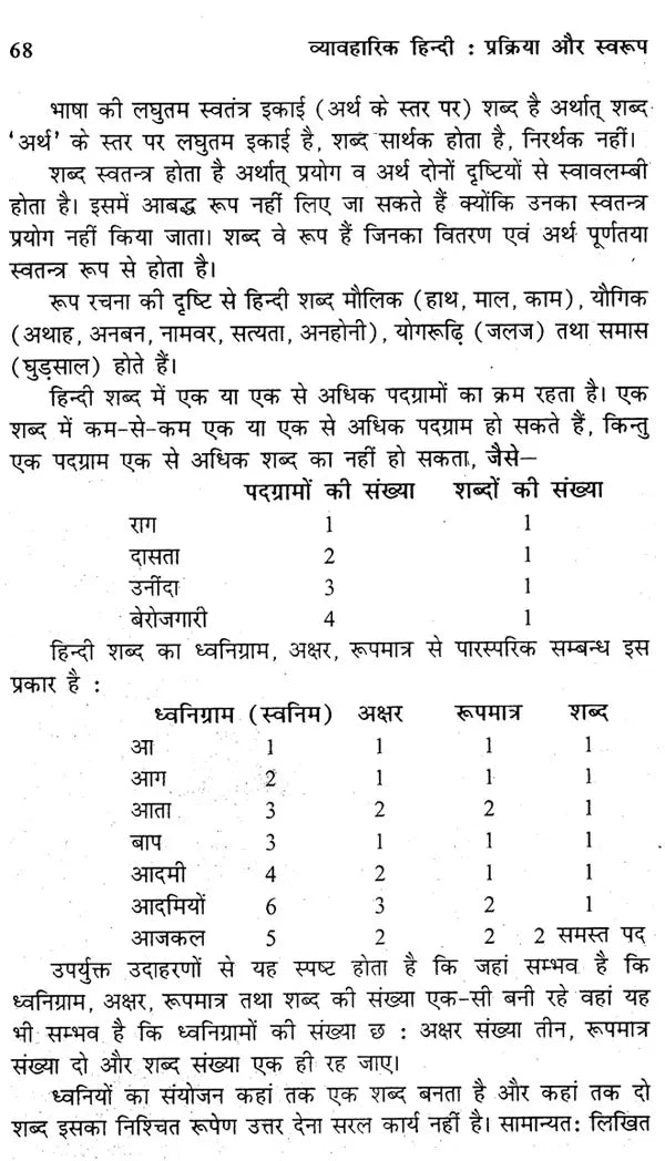 व्यावहारिक हिन्दी प्रक्रिया और स्वरूप: Practical Hindi Process And Format - Retail Maharaj