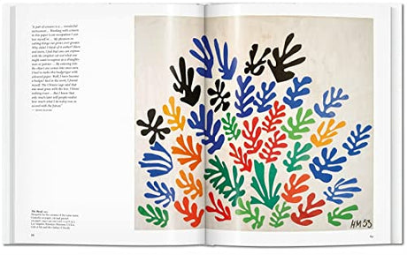 Matisse Cut-outs - Retail Maharaj