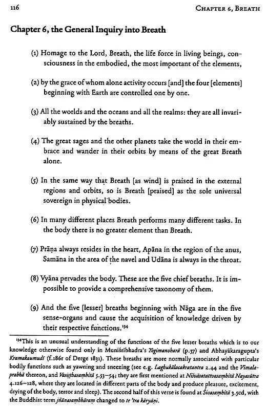 The Amrtasiddhi and Amrtasiddhimula – The Earliest Texts of the Hathayoga Tradition - Retail Maharaj