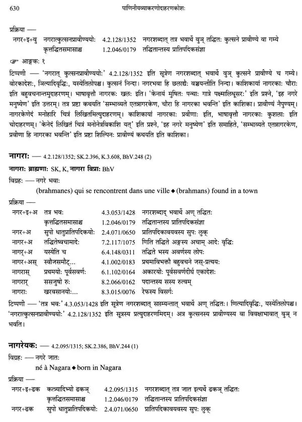 Paninian Grammar Through its Examples (The Book of Secondary Derivatives)- (IV-I Volume) - Retail Maharaj